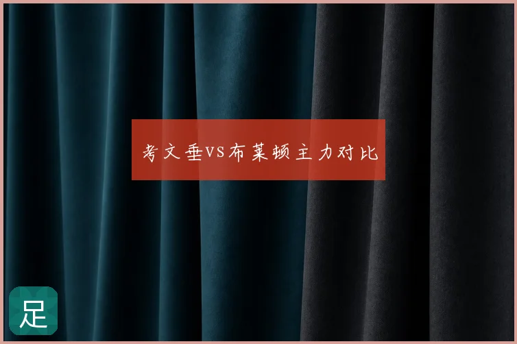 考文垂vs布莱顿主力对比